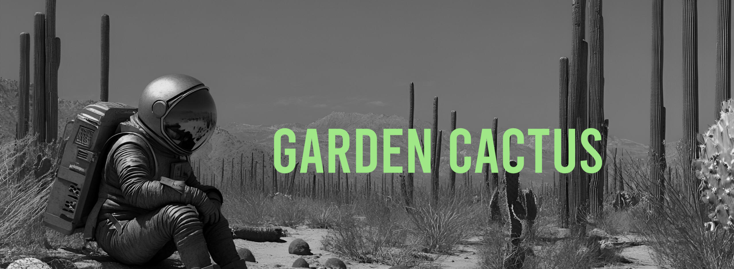 Cover Garden Cactus Records